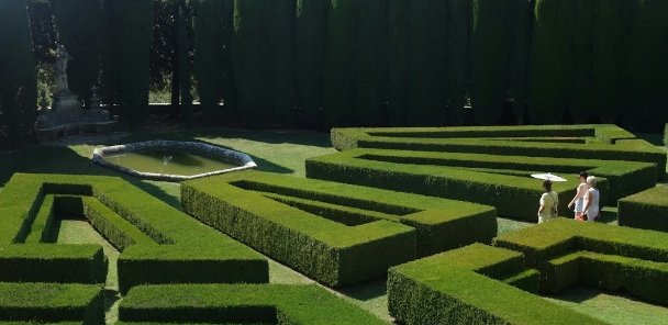 Neatly trimmed hedges in a landscaped garden